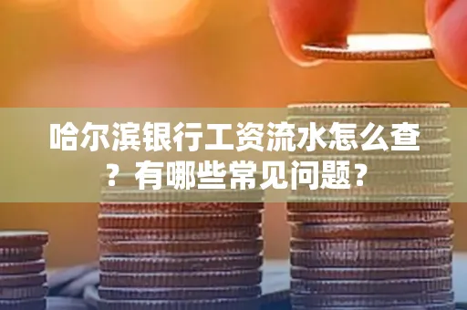 哈尔滨银行工资流水怎么查?有哪些常见问题?